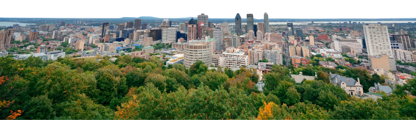 Top Location Banner